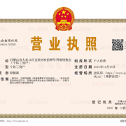 石嘴山市大武口区金账房玖拾肆号网络销售店（个体工商户）