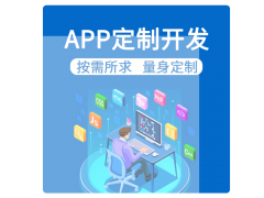 软件开发定制AI微信小程序开发制作app应用商城设计java网站建站