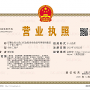 石嘴山市大武口区金账房叁拾壹号网络销售店(个体工商户)